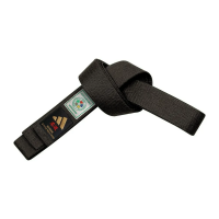 Пояс для дзюдо із золотою вишивкою Adidas ELITE IJF with KANJI OPTION | чорний | ADIDAS adiB242J