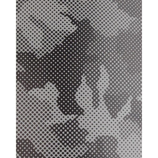 Мешок боксерский напольный CENTURY BRAVE XXL Camo WAVEMASTER (10176CM)